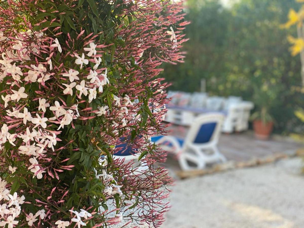 Lovely 2 Bed Apartment In Alcalalí Екстериор снимка